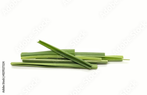 Lemongrass or Malabar Grass Isolated on White Background with Copy Space, Also Known as Cymbopogon, Fever Grass or Barbed Wire Grass