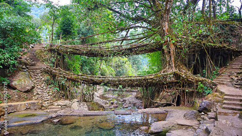 View of natural two storied living Root Bridge Near Cherrapunji, Meghalaya, India.