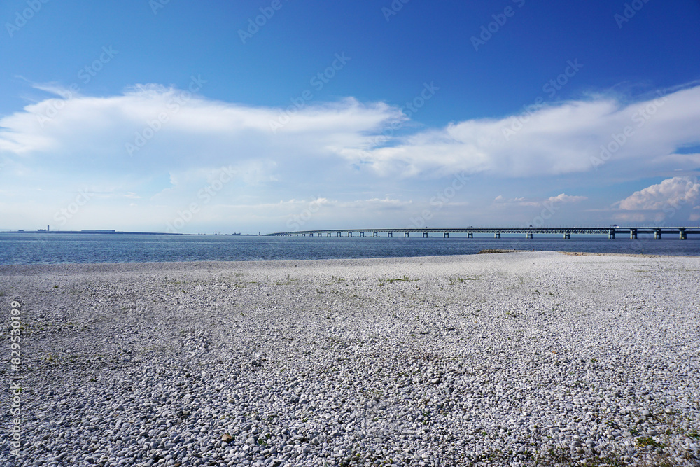 Obraz premium りんくう公園 関空