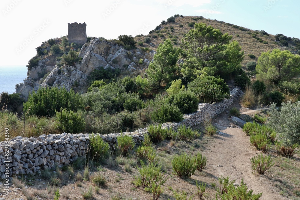Nerano - Torre di Montalto dal sentiero di accesso