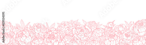 Floral border design with peony flowers. Garden blossoms and blooms, outlined...