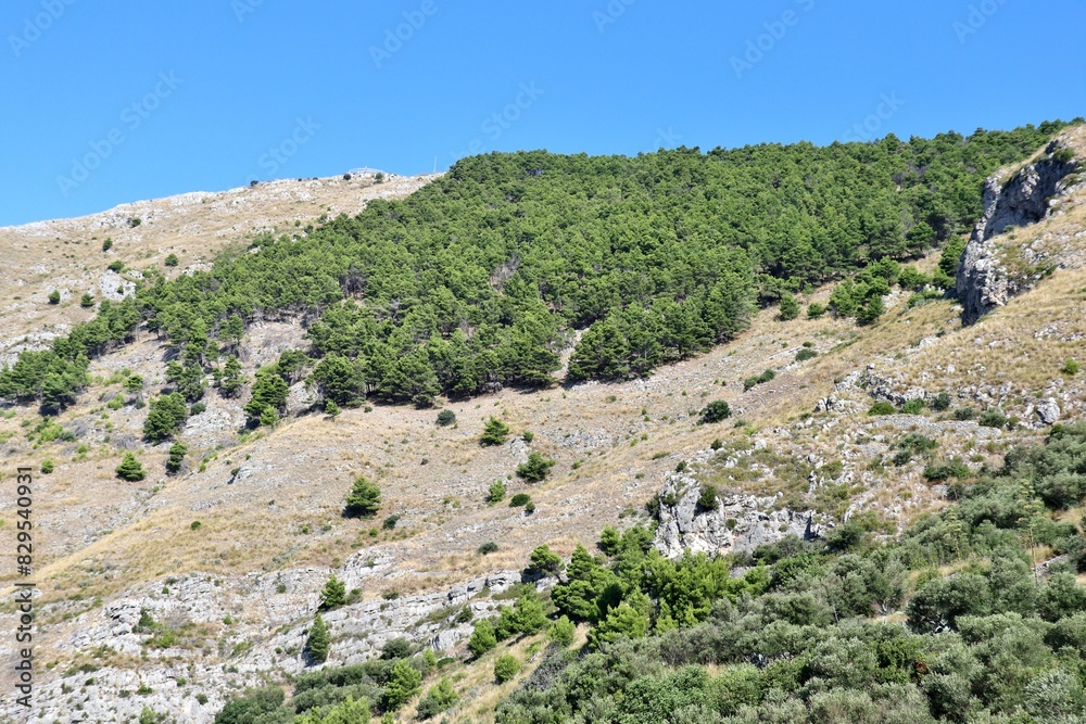 Ieranto - Pineta di San Costanzo