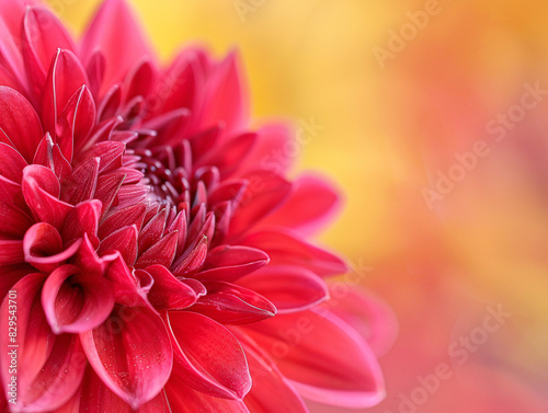 a close up of a flower © ELISA