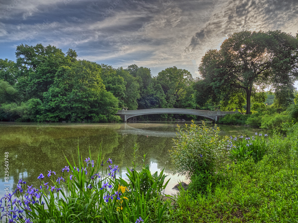 Central Park, New York City at the lake, at bow bridge Central Park, New York City at the lake, at bow bridge