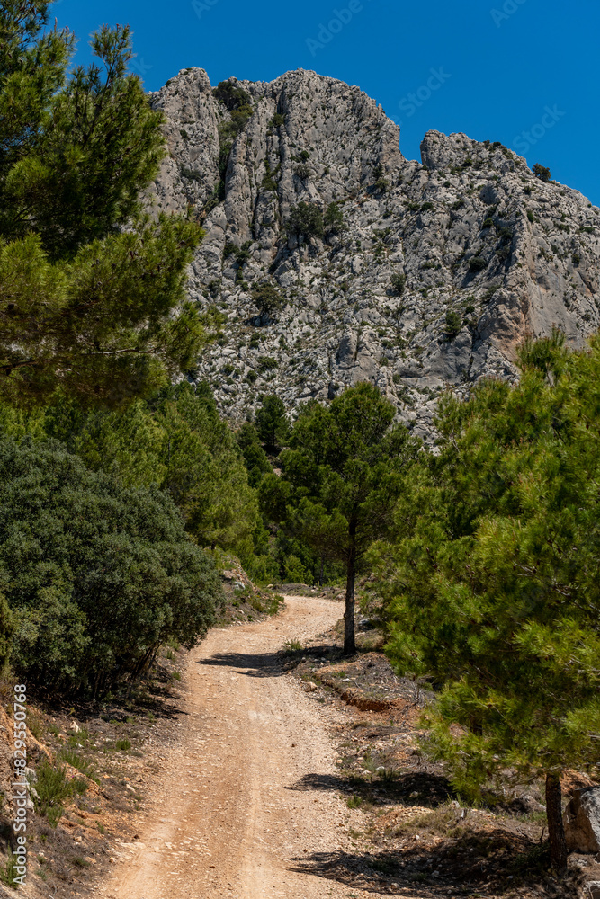 Dirt track through wilderness area, Paso el Contador - the pass between Sella and Guadalest valley, Alicante, Spain - stock photo