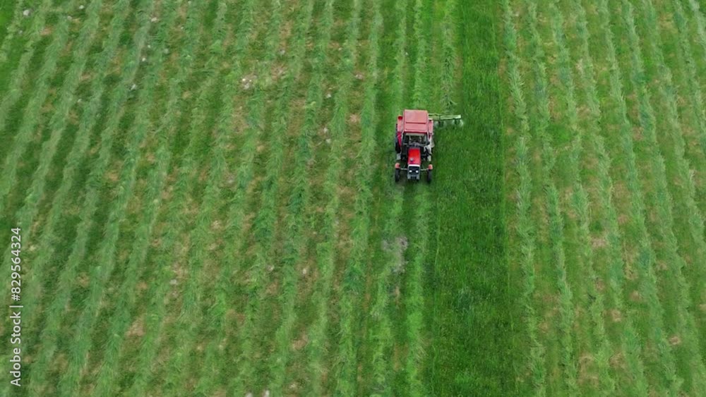 Red tractor mowing green field in neat horizontal stripes Red tractor mowing green field in neat horizontal stripes
