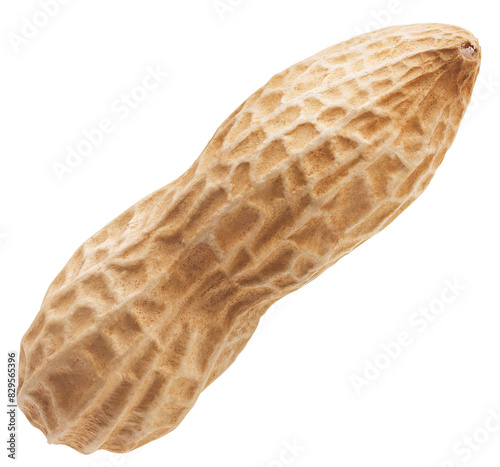 Single peanut isolated photo