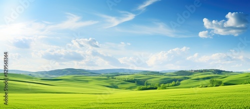 Scenic rural landscape featuring lush green wheat fields and beautiful countryside with copy space image