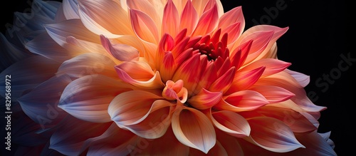 The exquisite beauty of a flower featuring a stunning display that captivates with its delicate allure and vibrant colors is perfect for any design with copy space image