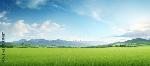 A scene of nature with a field mountains and sky in a serene green space suitable for a copy space image