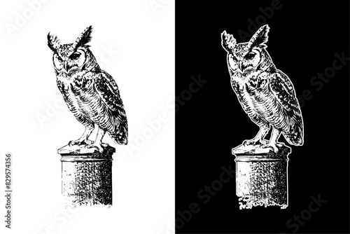 owl standing on a pole, hand drawn woodcut engraving style vintage antique vector illustration
