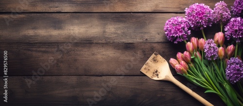 Wooden background with garden shovel and Allium aflatunense bulbs among faded blossoms in a copy space image photo