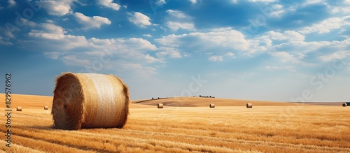 Hay bail harvesting in golden field landscape. Copy space image. Place for adding text and design photo
