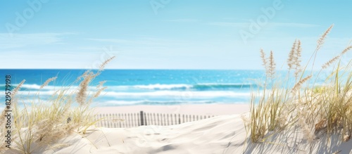 Fototapeta Naklejka Na Ścianę i Meble -  Summer holiday concept with serene blue sea sandy beach dunes reeds and dry grass evoking a peaceful seaside scene with a copy space image