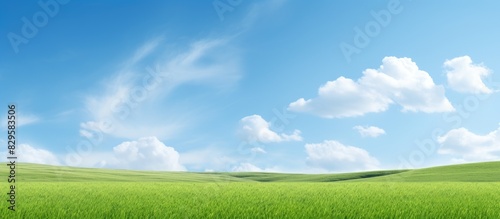 Scenic landscape with lush green grass stretching under a clear blue sky giving an impression of vastness and tranquility ideal as a copy space image