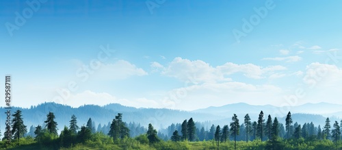 Scenic view of nature with clear blue sky and towering trees in the background perfect for a copy space image