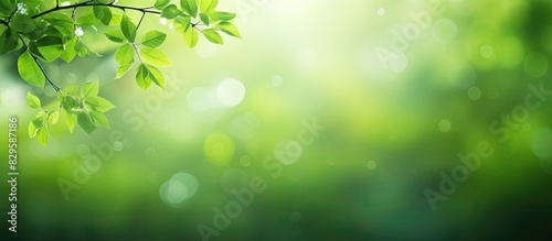 Create a soft focus effect on a lush green background with copy space image