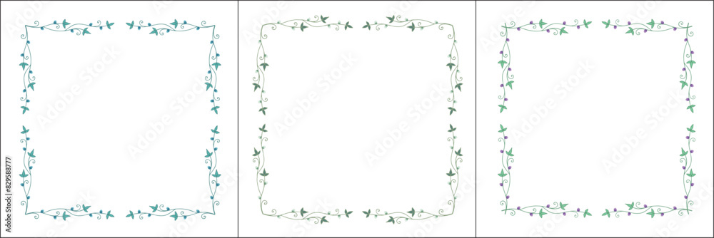 Set of three green floral frame with clover leaves, thin frames collection, decorative corners. Isolated vector illustration. Set of three green floral frame with clover leaves, thin frames collection, decorative corners. Isolated vector illustration.