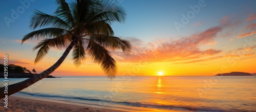 A serene palm tree overlooks a picturesque tropical beach with crystal clear waters golden sands and a stunning sunset The scene offers a tranquil setting with ample copy space image