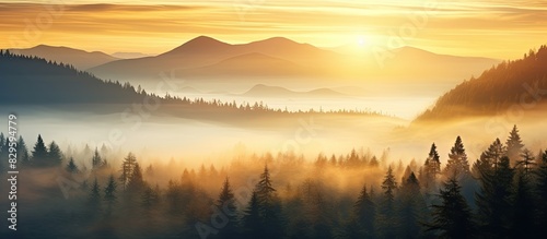 Scenic forest under a stunning misty sunrise with golden hues providing a picturesque view with copy space image