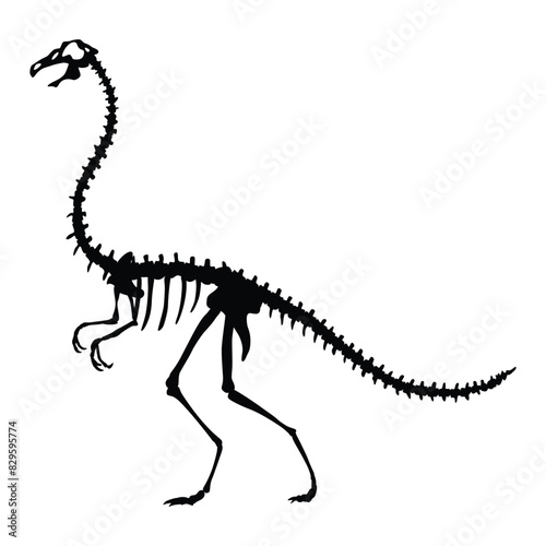 Dinosaur skeleton. Dino monsters icon. Shape of real animal. Sketch of prehistoric reptiles. Vector illustration isolated on white. Hand drawn sketch