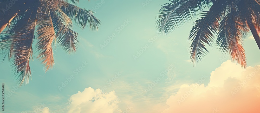 Vintage background with a retro toned poster featuring coconut palm tree foliage against a sky backdrop providing a serene copy space image