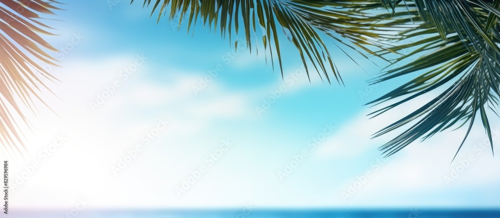 Scenic view of a blurred blue sky and sea with bokeh lights and coconut palm tree leaves in a tropical summer landscape conveying a summer vacation theme with copy space image