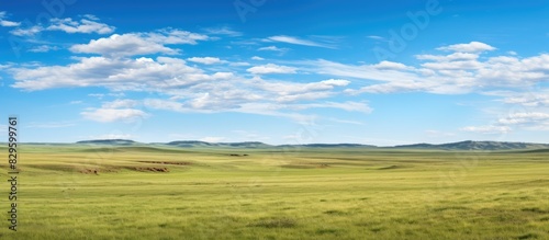 Expansive flat grassland known as steppe prairie or veldt found in southeastern Europe or Siberia providing vast open landscapes with endless horizons and minimal trees ideal for animal grazing