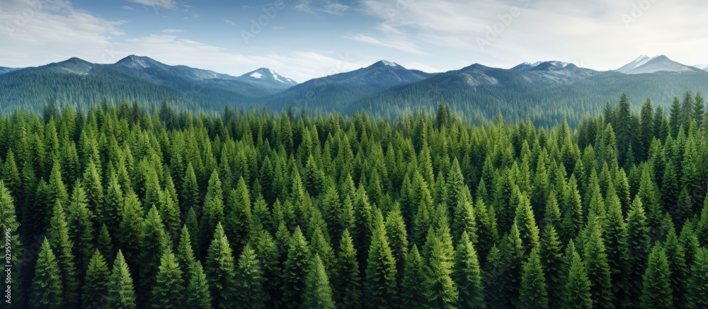 Obraz premium Top view of a lush green coniferous forest landscape with taiga peaks of fir trees creating a picturesque scene perfect for a copy space image