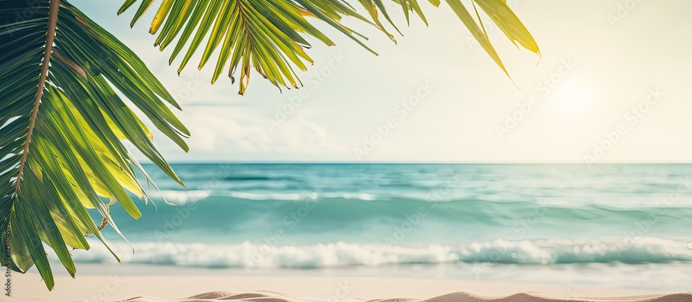 Scenic tropical beach with a blurred green palm leaf sunlit waves and vintage color filter effect Ideal for summer vacations and business travel concepts Contains copy space image