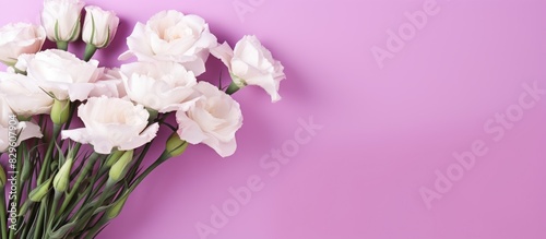 A stunning bouquet of white purple eustoma flowers with green leaves on a pink background provides a striking copy space image