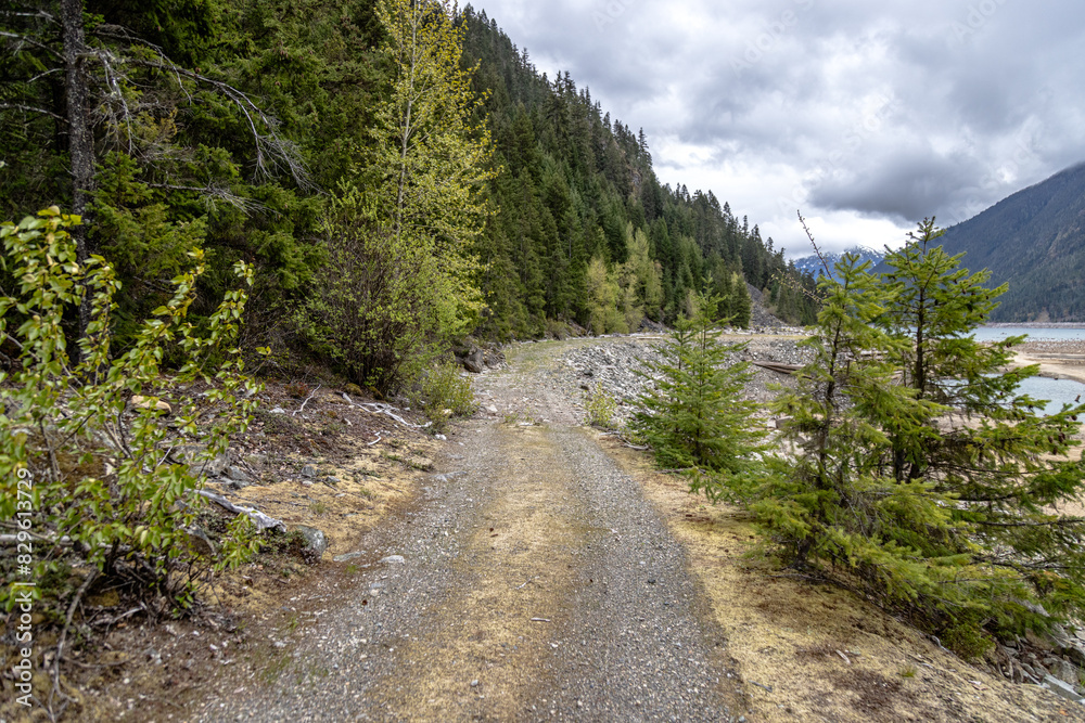 Obraz premium road in the mountains