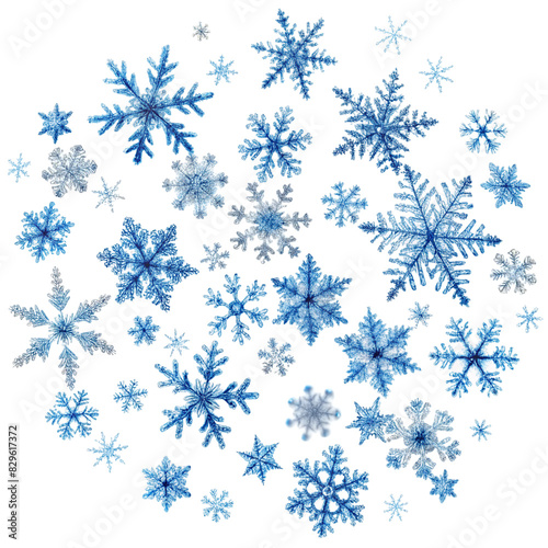 set of snowflakes on white background