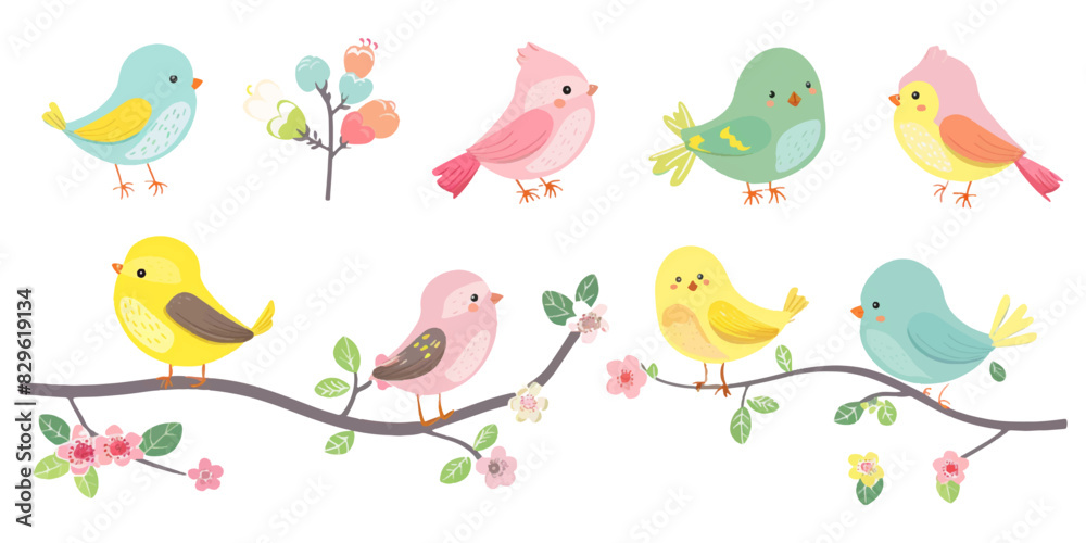 Vector illustration of bird set on white background