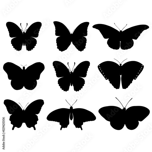 Butterflies vector isolated on white background.