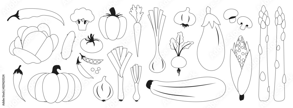 Black line vegetables icons. Fresh vegetables including asparagus, eggplant and corn. Onions, beets and pumpkin. Tomato, cucumber and pepper. Black line vegetables icons. Fresh vegetables including asparagus, eggplant and corn. Onions, beets and pumpkin. Tomato, cucumber and pepper.