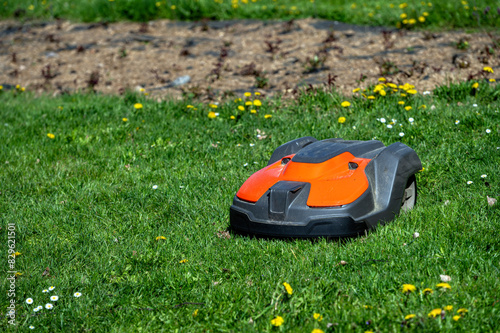 Autonomous Lawn Mower on Green Grass in a Sunny Park During the Day
