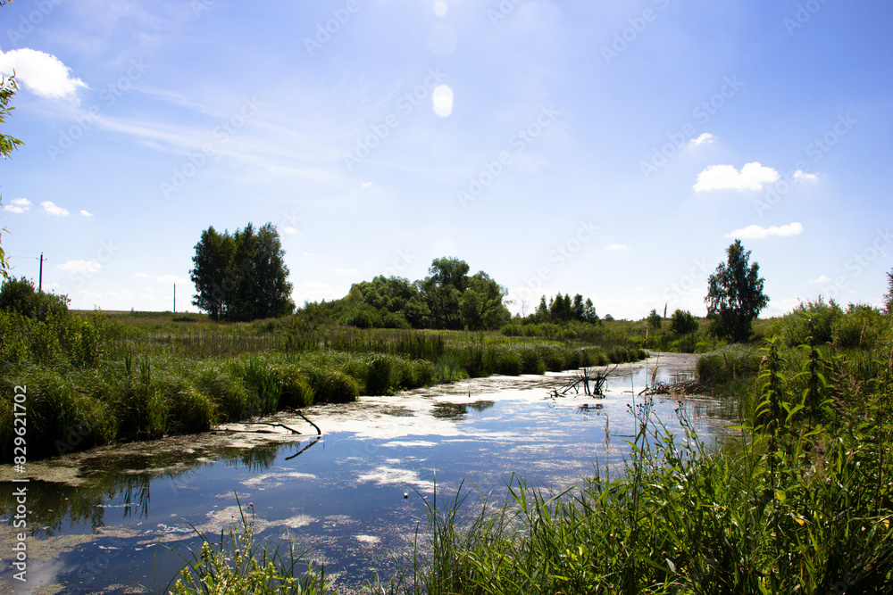 Fototapeta premium Landscape with a small river in the summer on a sunny day
