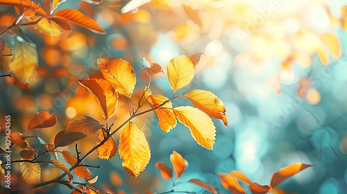 Tree branch with yellow leaves. Selective focus. © Яна Ерік Татевосян