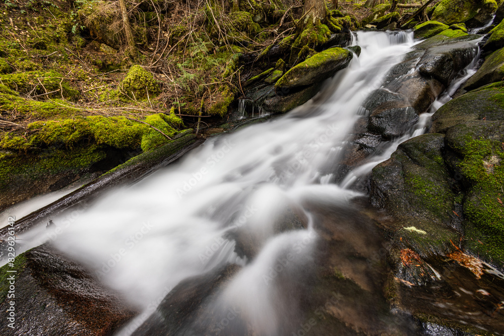 Waterfall in the forest Waterfall in the forest