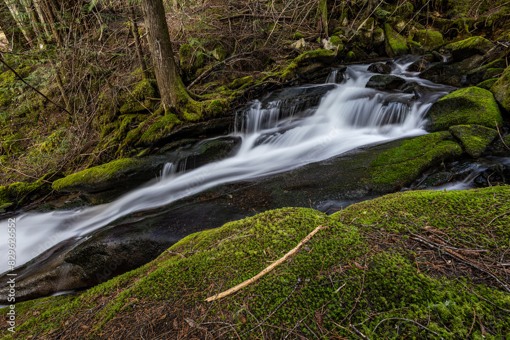 Obraz premium waterfall in the forest