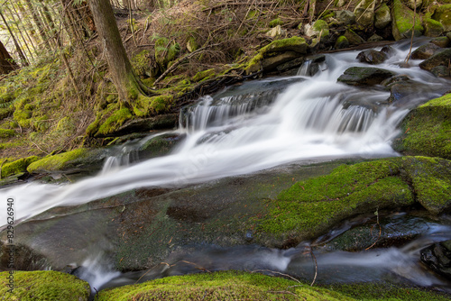 waterfall in the forest
