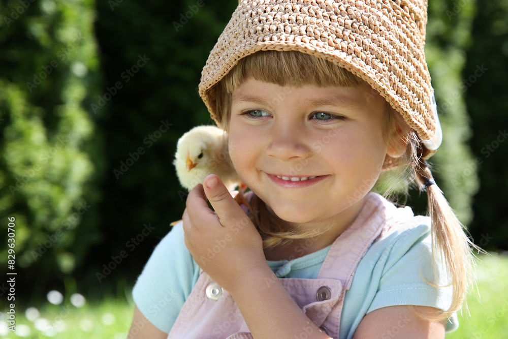 Cute little girl with chick outdoors. Baby animal Cute little girl with chick outdoors. Baby animal