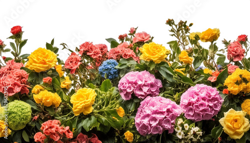 imagine bush of flowers isolated on transparent background