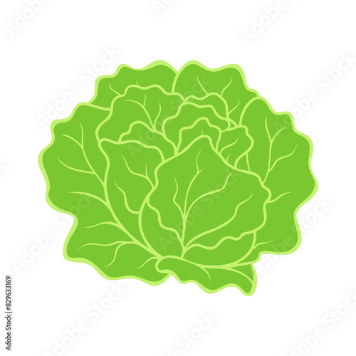 Fresh green organic lettuce, healthy meal option icon isolated.