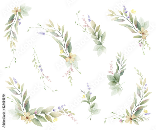 Watercolor light green leaves, twigs, flowers and branches set. Vector clipart for invitations, greeting cards, save the date, stationery design. Hand drawn illustration. © ElenaMedvedeva