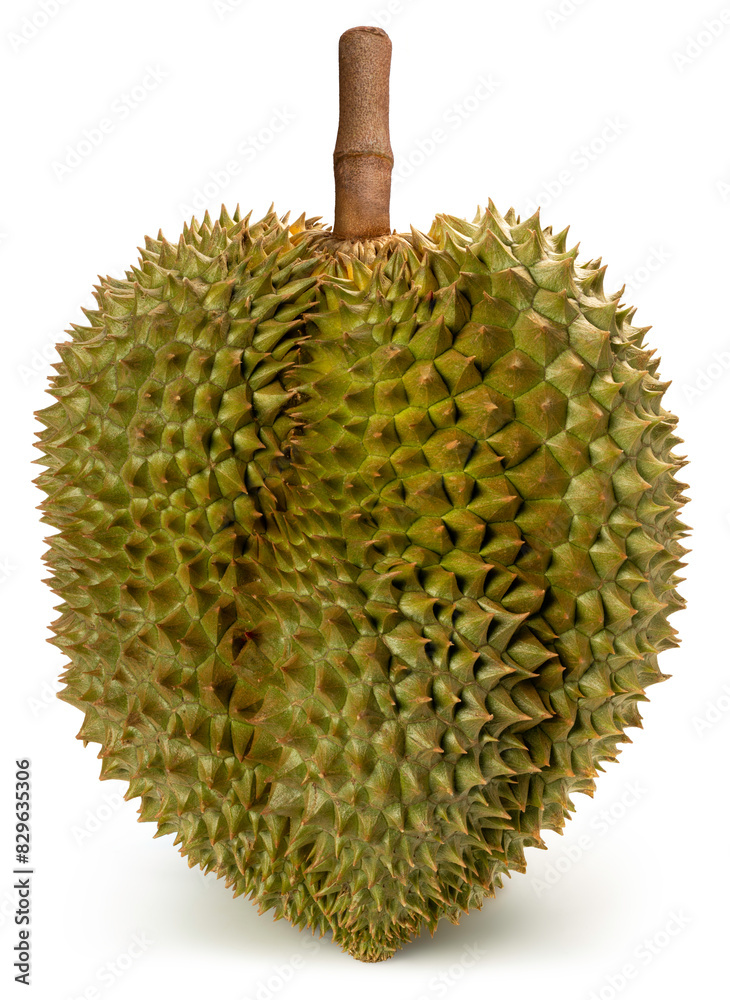Fresh durian isolated on white background, Durian fruit isolated on white background With clipping path. Fresh durian isolated on white background, Durian fruit isolated on white background With clipping path.