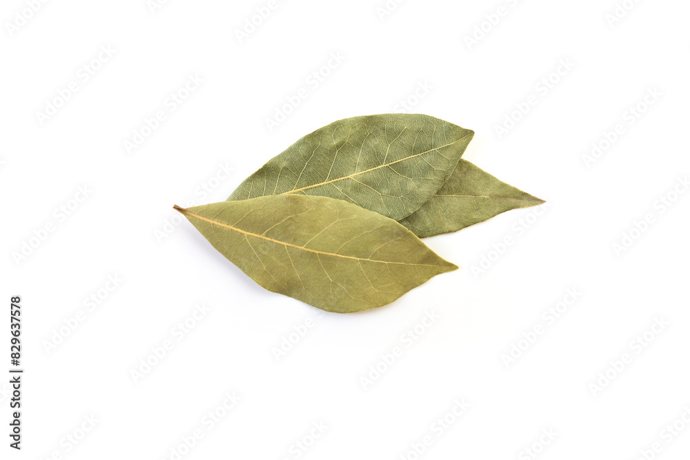dried bay leaf isolated on white background with copy space. Close-up. dried bay leaf isolated on white background with copy space. Close-up.