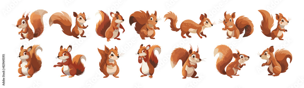 Squirrel cartoon vector set. Rodent forest dweller fluffy tail cute little animal character, illustration isolated on white background Squirrel cartoon vector set. Rodent forest dweller fluffy tail cute little animal character, illustration isolated on white background