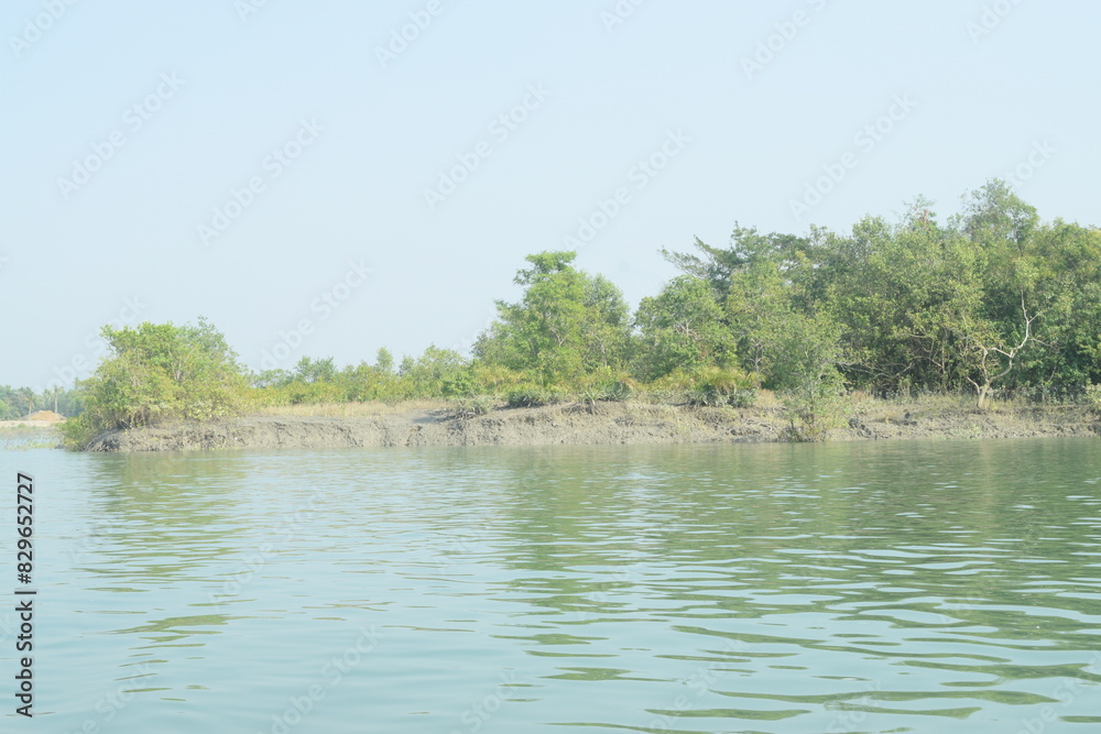 Sundarbans Mangrove Forest Sundarbans Mangrove Forest